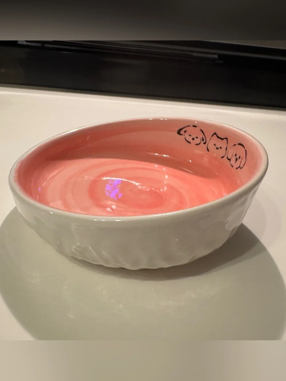 Tilted Pet Food Bowl